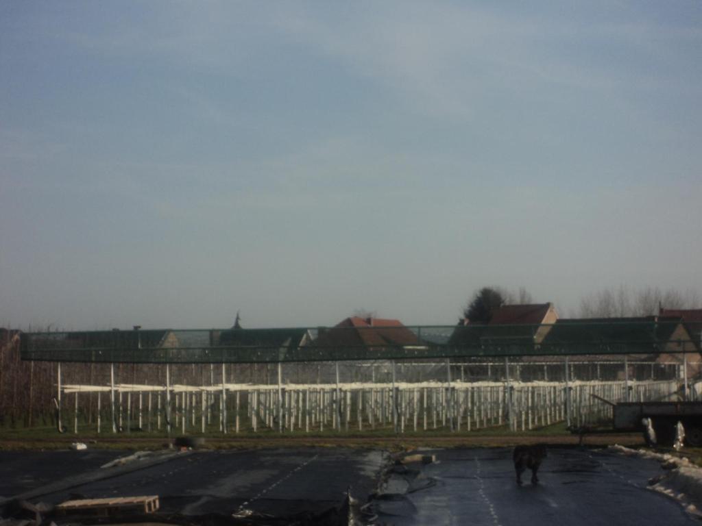 Juwel Fruithof Apartment Zepperen Ruang foto